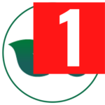 toohealthy.pages.dev favicon